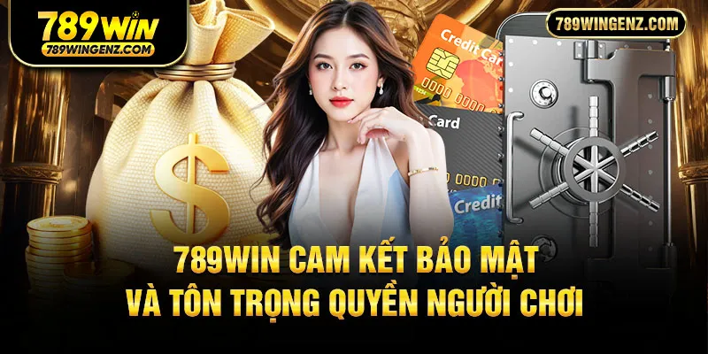 Giao diện hệ thống mã hóa dữ liệu và quyền riêng tư tại 789Win.